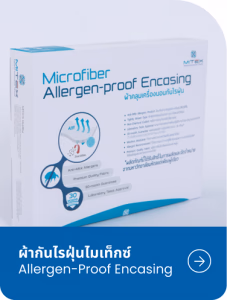 MITEX anti-dust-mite encasing